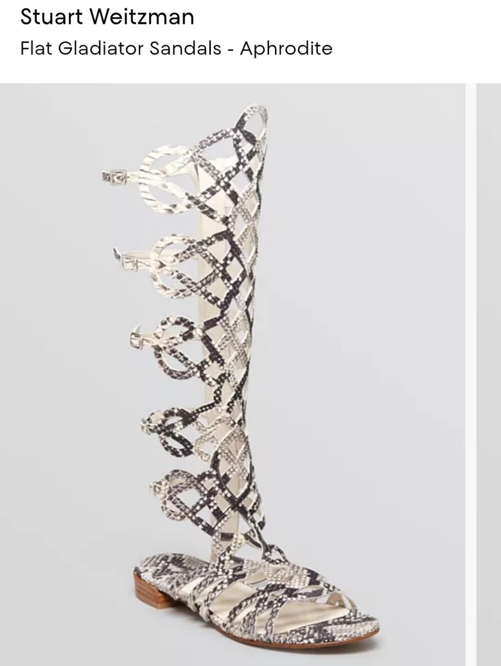 Stuart Weitzman Cream and Black Snake-Print Gladiator Sandals - Picture 1 of 8